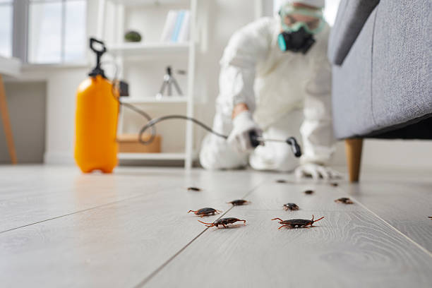 Commercial Kitchen Cockroach Control in Lancaster